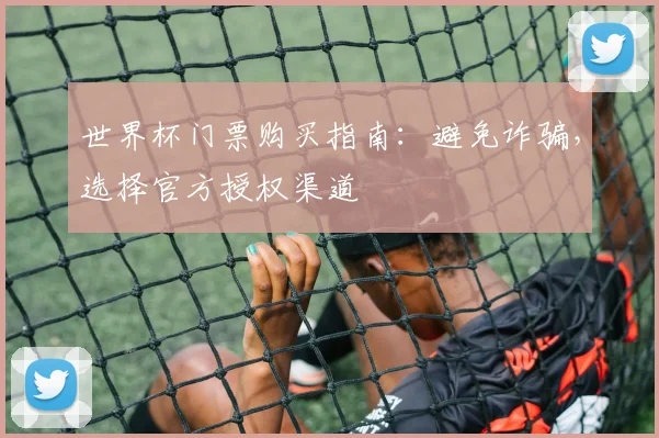 世界杯门票购买指南:避免诈骗,选择官方授权渠道