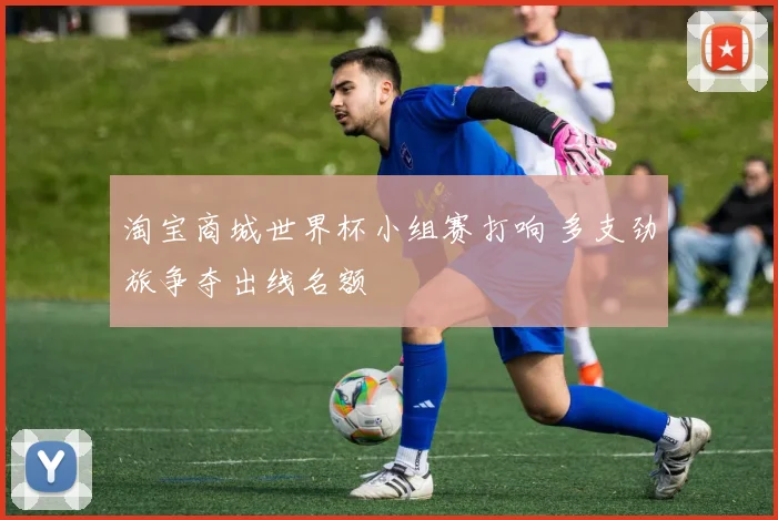 淘宝商城世界杯小组赛打响 多支劲旅争夺出线名额