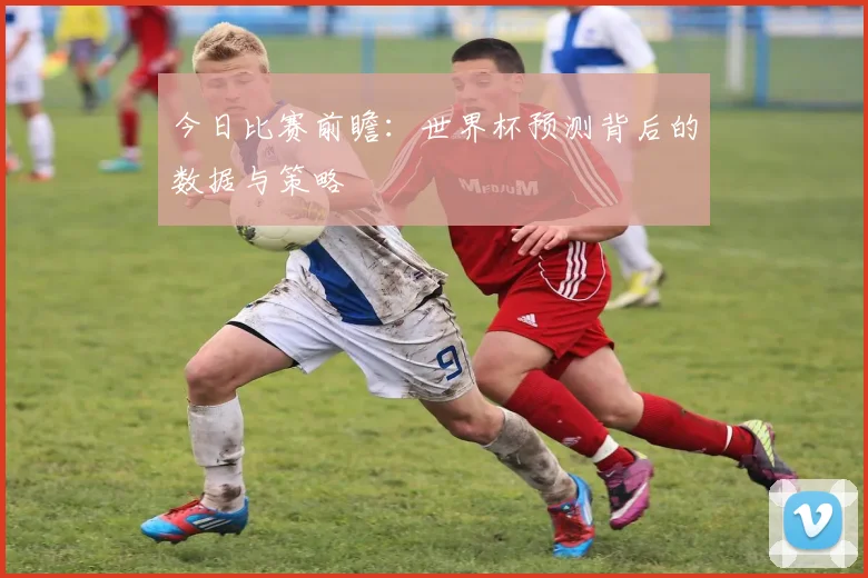 今日比赛前瞻：世界杯预测背后的数据与策略