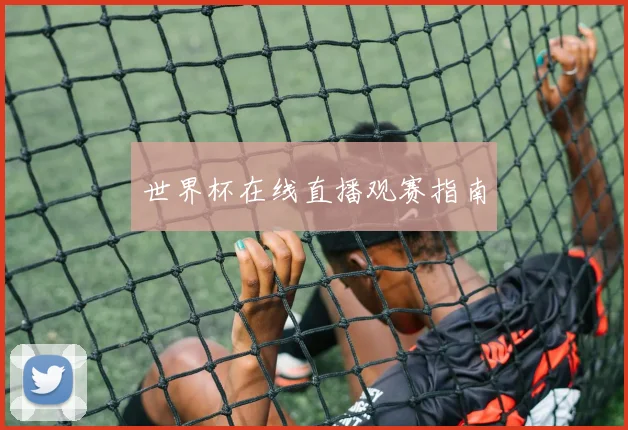 世界杯在线直播观赛指南