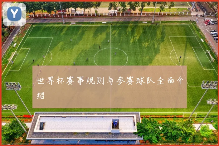 世界杯赛事规则与参赛球队全面介绍