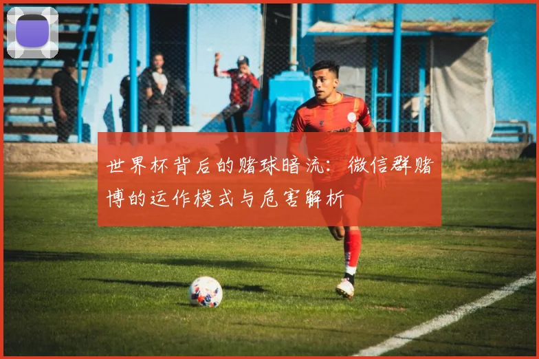 世界杯背后的赌球暗流:微信群赌博的运作模式与危害解析