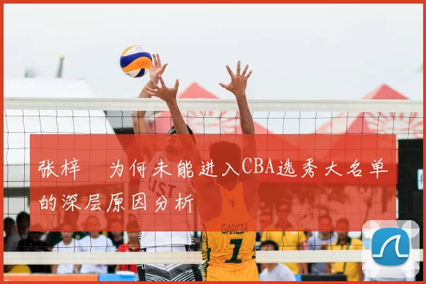 张梓祎为何未能进入CBA选秀大名单的深层原因分析