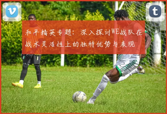 和平精英专题：深入探讨WE战队在战术灵活性上的独特优势与表现