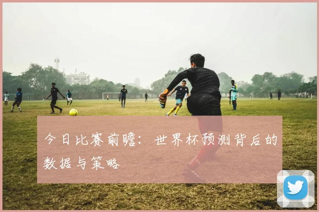 今日比赛前瞻：世界杯预测背后的数据与策略