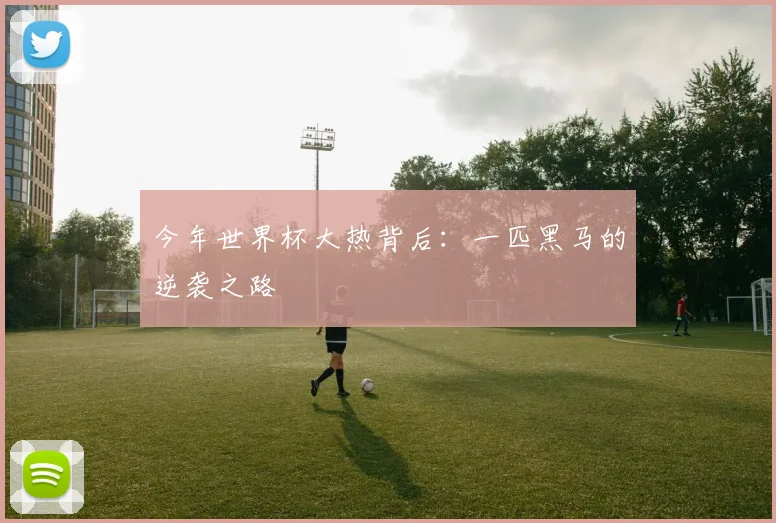 今年世界杯大热背后:一匹黑马的逆袭之路