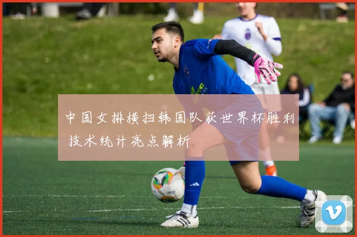 中国女排横扫韩国队获世界杯胜利 技术统计亮点解析