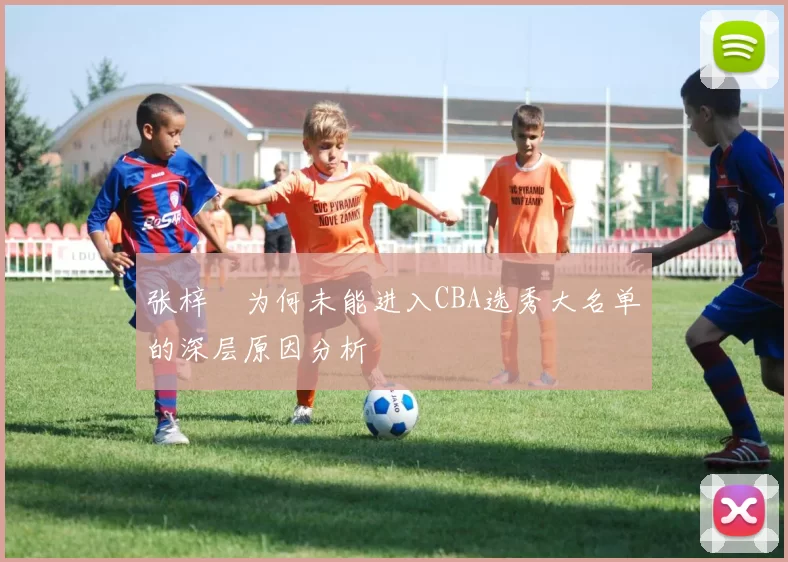 张梓祎为何未能进入CBA选秀大名单的深层原因分析