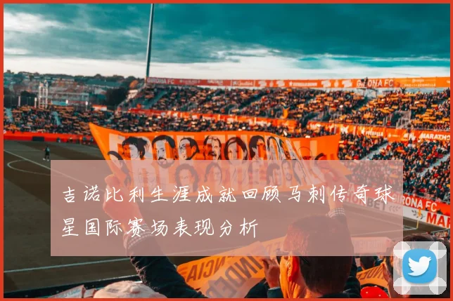 吉诺比利生涯成就回顾马刺传奇球星国际赛场表现分析