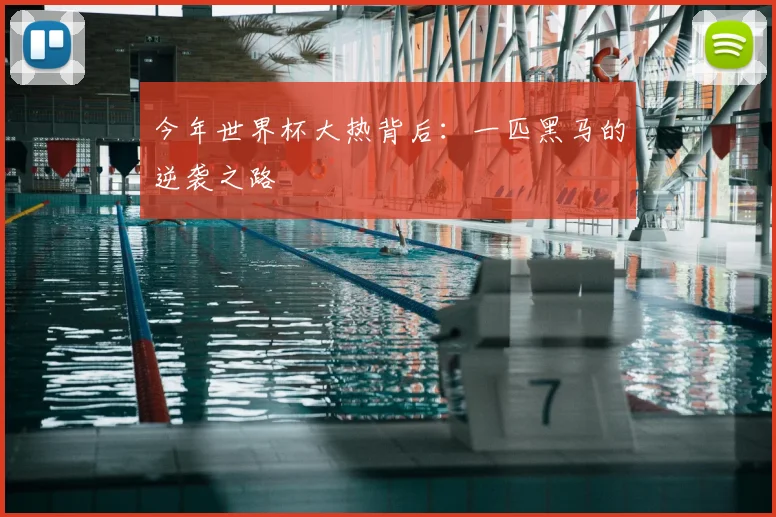今年世界杯大热背后:一匹黑马的逆袭之路