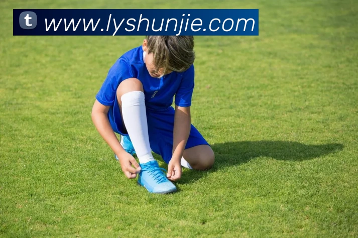 App Interface Preview