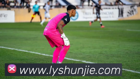 华体会体育APP 封面图